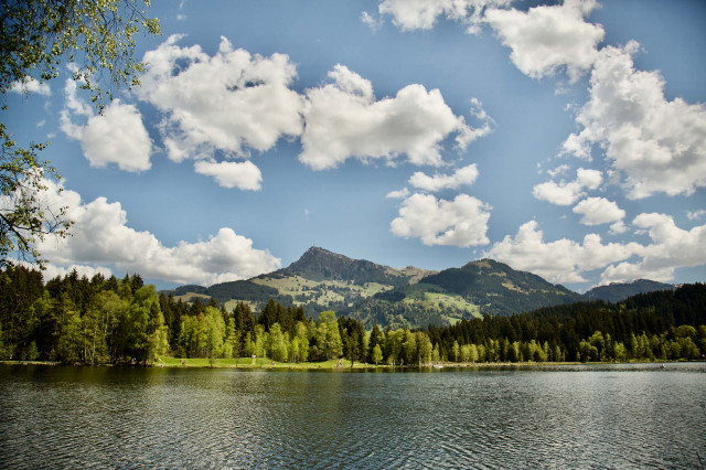 Sommer im Chalet (Photo 1)