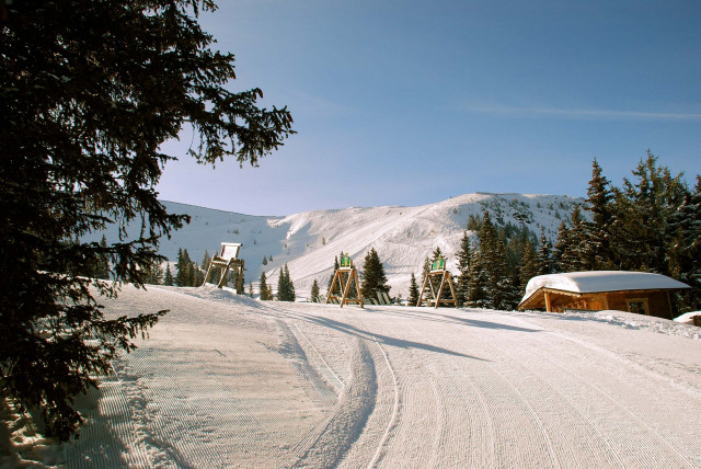 Winter im Chalet (Photo 6)