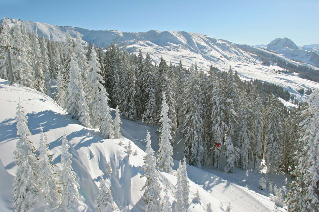 Winter im Chalet (Photo 9)