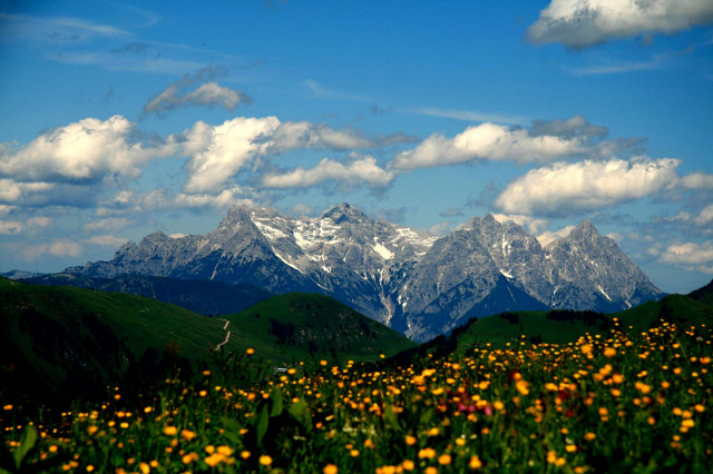 Sommer im Chalet (Photo 8)
