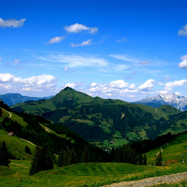 Sommer im Chalet (Photo 10)