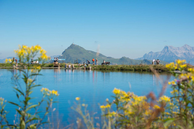 Sommer im Chalet (Photo 18)